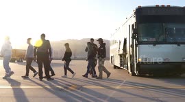 US: First Deportation Flight Takes Off as DHS and DoD Join Forces