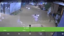 Duck duck, no! Crocodile chases bird through family's flooded yard