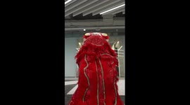 Futuristic lion dance by humanoid robots in China's Shenzhen
