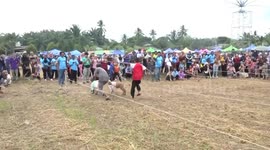 Locals race pet goats in colourful dresses at Thai village fair