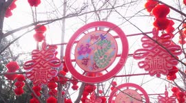Chinese people embrace snakes as new zodiac symbol