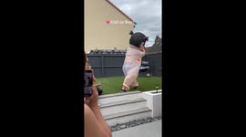 Baby girl vs. baby boy fight reveals the couple’s exciting news
