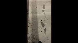 Goofy Snow Prints