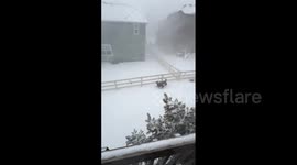 US: Winter Storm Sweeps Much Of Colorado, Bringing Heavy Snow 2