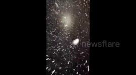 US: Winter Storm Sweeps Much Of Colorado, Bringing Heavy Snow