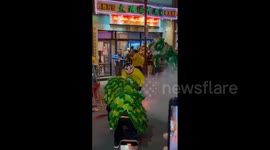 US: Chinese Communities Celebrate Arrival Of 2025 Lunar New Year