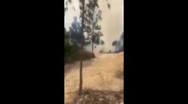 Private jet crashes killing three onboard in Venezuela