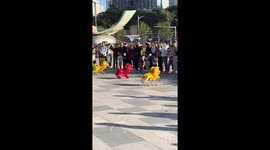 Robot dogs do lion dance for Chinese New Year