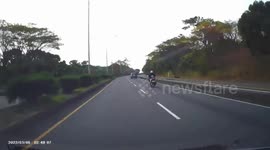 Deer struck by oncoming car before scampering away