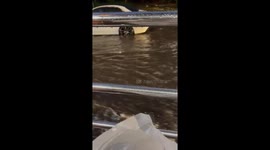 Severe Thunderstorms Bring Flooding and Damage to Hawaii, Road Blocked by Fallen Tree