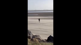 Storm Eowyn brings hurricane-force winds causing disruption in Dublin, Ireland