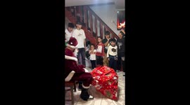 Man dressed as Grinch slips down stairs in Mătăsaru, Romania