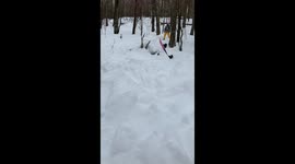 Snowboarder fails to balance on tree log in New York, USA