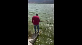 Man slips into Laguna de Cajititlán in Tlajomulco de Zuniga, Jalisco, Mexico