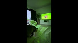 Cats startled by television in Boom, Belgium