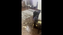 Tree trunk crashes through ceiling in Monroe, USA