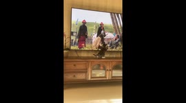 Cat jumps at warriors on TV in Beijing