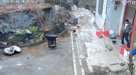 Person falls after stepping on puppy in Guangxi, China