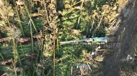 Forest Workers Clean Up Begins After Forest Devastation From Storm Eowyn
