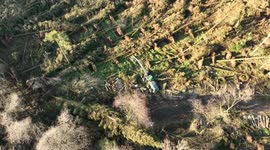 Another Look At The Damage From Storm Eowyn With Hundreds Of Trees Uprooted In N. Ireland During An Historic Wind Storm