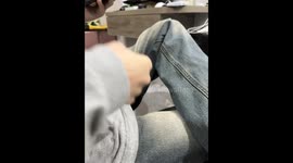 Cat plays with owner in playful video in Hunan, China