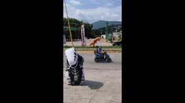 Dancing in inflatable dino costumes to promote barbershop in Jiutepec, Mexico