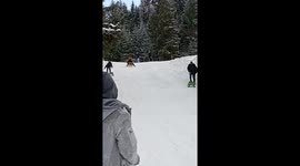 Person falls after getting off fast sleigh ride in Romania