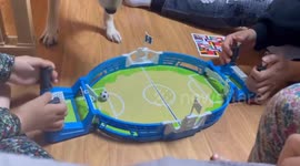 Dog hilariously snatches ball from tabletop soccer toy in Seoul, South Korea