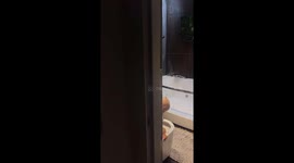 Toddler plays in the toilet in Ryazan