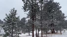 Snow blankets Evergreen, Colorado