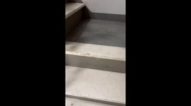 Woman freaks out over rat encounter in New York, USA