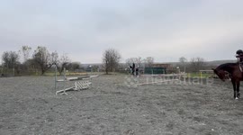 Horse rider falls during jump training in Bratislava