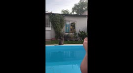 Cat falls into pool while chasing insect in San José, Argentina