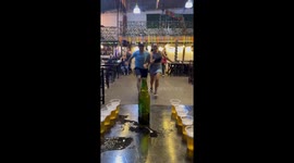 Dog playfully disrupts drinking game in San Ignacio, Peru