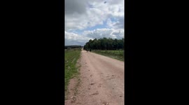 Horse race in Flores ends with rider falling in Flores, Uruguay