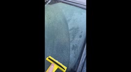 Dog hilariously follows snow scraper inside car in Manchester, England