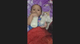 Baby and pet cat drink milk together in Wilayah Persekutuan Labuan, Malaysia