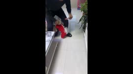 Dog performs handstand walk for its owner in Shandong, China