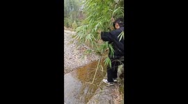 Person attempts to cross stream with bamboo twig in Sichuan province
