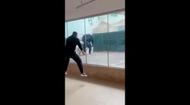 Monkey mimics man’s jump in Jiangsu, China