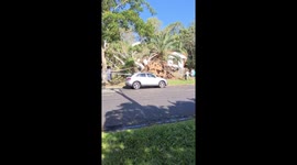 Powerful storm causes tree to fall on house in Carina, Brisbane, Australia