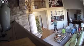 Cat jumps from second floor, startling owner in Kansas, Missouri, USA
