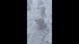 Dinosaur Snowman