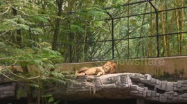 Sri Lanka: National Zoological Gardens of Sri Lanka
