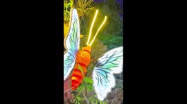 Spring Festival