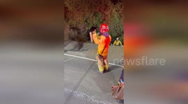 US: Driver Rescued After Crash on Live Oak Canyon Road