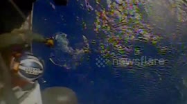 Haiti: Coast Guard Aircrews Rescue Boaters from Sinking Vessel Near Haiti