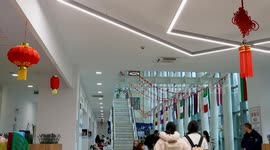 Romanian school celebrates Chinese New Year