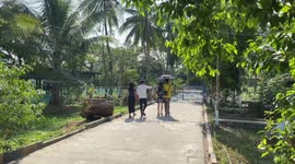 Myanmar's largest crocodile farm integrates conservation with education efforts