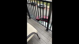 Disoriented Driver Crashes Into Multiple Parked Vehicles